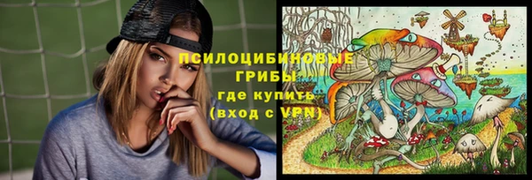 ешки Балахна