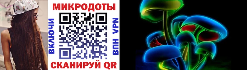 Галлюциногенные грибы Psilocybe  Чадан 